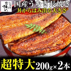 国産うなぎ 超特大サイズ 蒲焼き 200g 2本