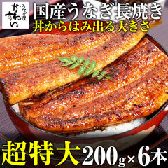 国産うなぎ 超特大 サイズ 蒲焼き 200g 6本セット 送料無料 タレ付き  山椒別売り 国産 うなぎ 蒲焼 ウナギ 鰻 お取り寄せ グルメ 冷凍 保存食 長焼き お歳暮