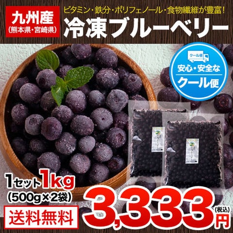 送料無料　ブルーベリー　国産　宮崎県産　冷凍　1キロ