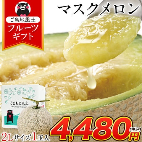 九州産 マスクメロン メロン 秀品 2Lサイズ 1玉 メッセージカード 送料無料 約1.2kg以上 フルーツギフト 《7-14営業日以内に出荷予定(土日祝除く)》---d2_melon_wx_24_4480_2lx1---