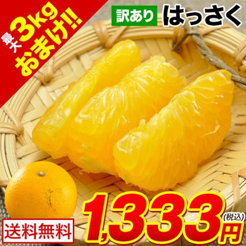 【販売解禁!】 はっさく柑 (八朔・紅八朔) 1.5kg 送料無料 訳あり 熊本県産 みかん ミカン mikann ★3セット購入なら2セット分増量!!★ 複数セットの場合1箱にまとめて配送 《3-7営業日以内に発送予定》