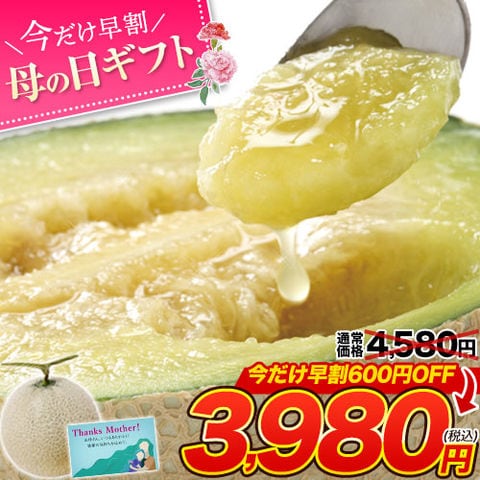 九州産 マスクメロン 2Lサイズ1玉