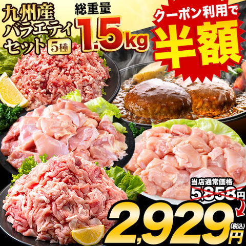 【★期間限定クーポン利用で半額！5月27日23時59分まで★】総重量1,520g お肉5種 バラエティセット 豚肉 鶏肉 ハンバーグ 肉 《1-5営業日以内に出荷予定(土日祝日除く)》---d2_fumavarietyv2_s_24_5858_5i_mi---