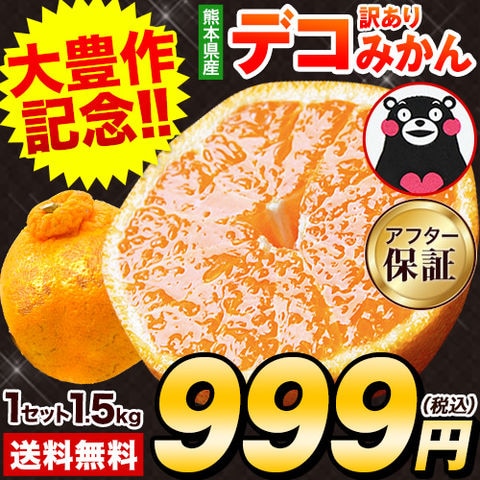 【★大豊作記念★赤字覚悟！999円！！】デコポン と同品種 訳あり デコみかん 1.5kg おまけ増量 みかん 熊本 柑橘《1-5営業日以内に出荷予定（土日祝日除く）》---d2_wdekomi4s4sv2_s_26_1480_1500g---