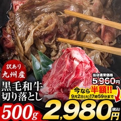 訳あり 黒毛和牛 切り落とし こま切れ肉 メガ盛り 500g