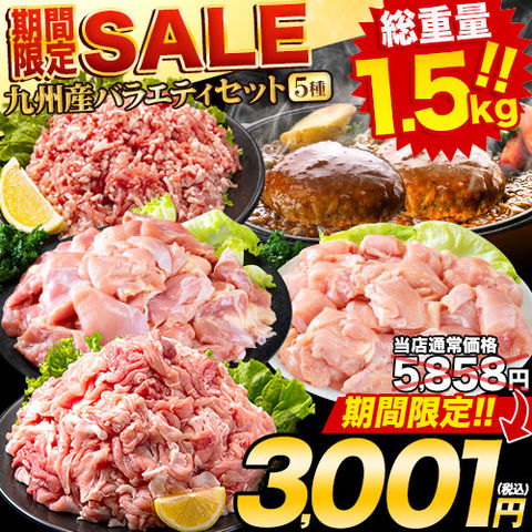 お肉5種 バラエティセット総重量1,520g