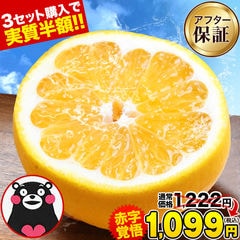 河内晩柑 1.5kg 和製グレープフルーツ