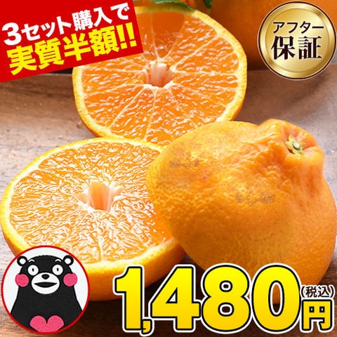 【★3セットで実質半額！★】デコポン と同品種 訳あり デコみかん 送料無料 1.5kg 2セット購入で1セット分おまけ増量 不知火 みかん ミカン 熊本 柑橘《3月上旬-4月上旬頃より発送予定》---d2_wdeko_ad3_26_1480_1500g---