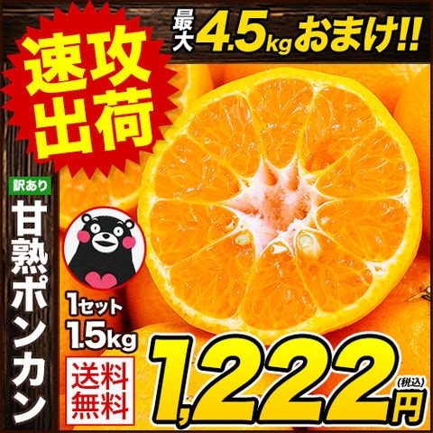 dショッピング |ポンカン 訳あり 1.5kg 送料無料 熊本県産 旬 みかん
