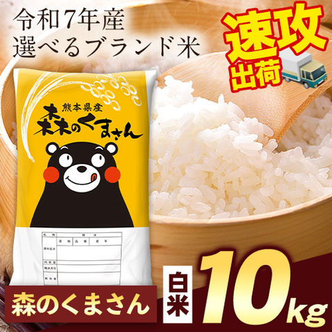 熊本県産 森のくまさん 白米 10kg