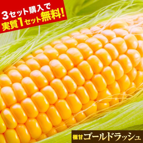 ゴールドラッシュ 名寄市 6本入り 350～400g サイズ 朝採り フルーツコーン とうもろこし スイートコーン 極甘 お取り寄せグルメ 北海道産《7-14営業日以内に出荷予定(土日祝除く)》---d2_cnyrcornv2_wx_26_2980_6p---