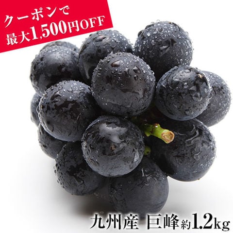【最大1,500円OFFクーポン使える!】 ぶどう ギフト 九州産 巨峰 1.2kg前後 送料無料 お中元 ギフト 旬 フルーツ 葡萄 フルーツギフト 果物 食品 《3-7営業日以内に出荷予定》---d2_cskyohou_u_25_5280_1200g---
