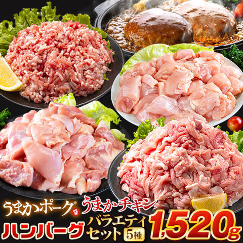総重量1,520g お肉5種 バラエティセット 豚肉 鶏肉 ハンバーグ 肉 《1-5営業日以内に出荷予定(土日祝日除く)》---d2_fumavarietyv2_s_24_5858_5i_mi---