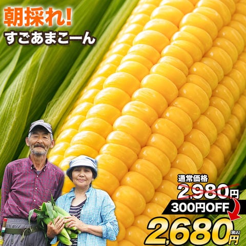 【★期間限定SALE！7月26(日)23時59分まで！2980円⇒2680円★】卯野農場 の すごあまこーん 5本入り (3L~L サイズ)朝採り フルーツコーン 送料無料 とうもろこし《7-14営業日以内に発送予定》---d2_csugoamacorn_wx_26_2980_5p---