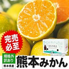 熊本 お徳用みかん 10kg訳あり