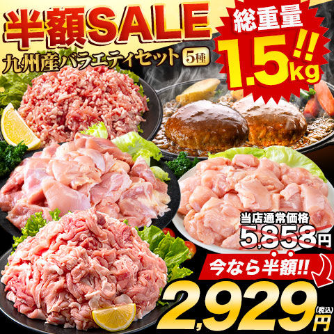 【★期間限定SALE！10月27日㈫9時59分まで！5858円⇒2929円★】総重量1,520g お肉5種 バラエティセット 豚肉 鶏肉 ハンバーグ 肉 《7-14営業日以内に出荷予定(土日祝日除く)》---d2_fumavarietyv2_wx_24_5858_5i_mi---