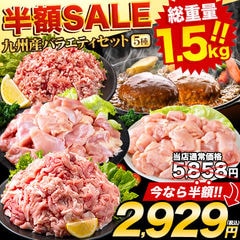 【★期間限定SALE！8月12(水)日13時59分まで！5858円⇒2929円★】総重量1,520g お肉5種 バラエティセット 豚肉 鶏肉 ハンバーグ 肉 《1-5営業日以内に出荷予定(土日祝日除く)》---d2_fumavarietyv2_s_24_5858_5i_mi---