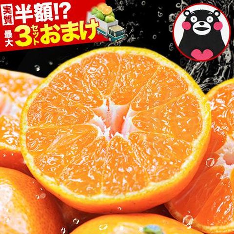 熊本 みかん 送料無料 訳あり ミカン1.5kg 柑橘 九州 訳アリ 甘い 蜜柑 《1-5営業日以内に出荷予定（土日祝日除く）》--- d2_kwmikan_s_24_1333_1500g---