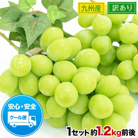 シャインマスカット 1.2㎏前後 300g×4パック フルーツ  果物 マスカット ぶどう ブドウ 九州産 皮ごと食べられる 【クール便】《3-7営業日以内に出荷予定》---d2_cshine_u_26_4980_1200g_4p---