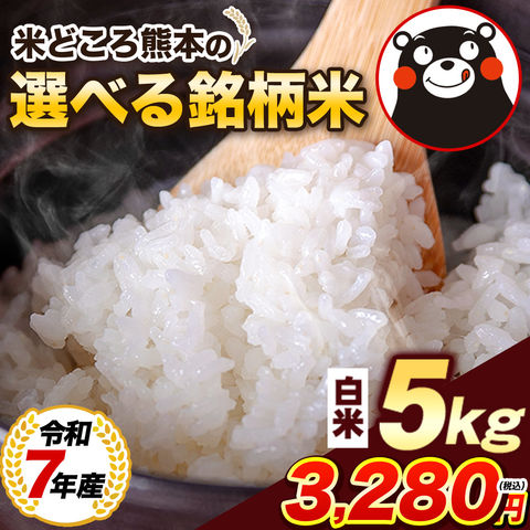 【令和7年産】お米 熊本県産二大ブランド米 ヒノヒカリ くまさんの輝き 選べる 白米 5kg 10kg 20kg 単一原料米 ひのひかり コメ 精米 備蓄米 ではありません《1-5営業日以内に発送予定(土日祝日除く)》---d2_hinor7_s_25_4480_5kg---