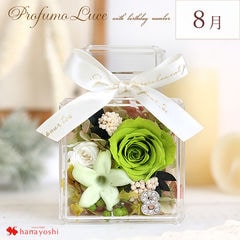 dショッピング |[1/30～3/20届] プリザーブドフラワー プロフーモ