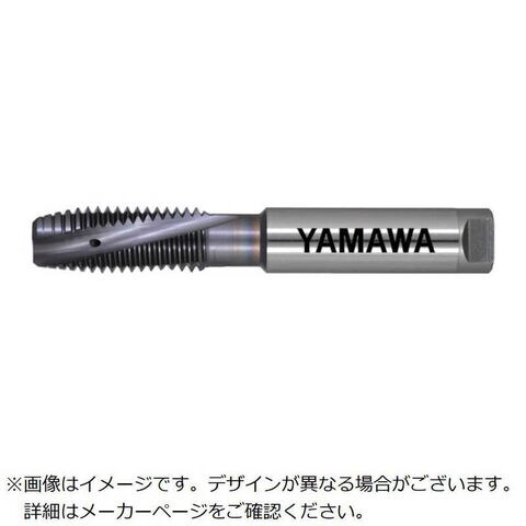 サンドビック CNMG 12 04 12-XM（4425）  T−Max P 旋削用ネガチップ 112 4425 CNMG120412XM4425 サンドビック Ｔ−Ｍａｘ Ｐ 旋削用ネガチップ（１１２） ４４２５