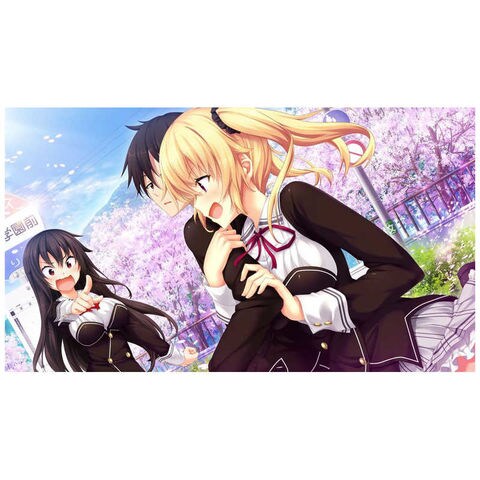 chaosTCG HARUKAZE ノラと皇女と野良猫ハート ノラと皇女と野良猫