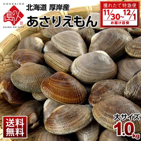 【11月30日～12月1日お届け】北海道"純"厚岸産 ごろっと殻付 大サイズ あさり 1.0kg(あさりえもん) 最高鮮度でお届け【砂出し済】[cd*]A00-09068-11121