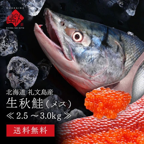 dショッピング |北海道 礼文島産 生秋鮭 メス (生筋子入り) 2.5～3.0kg前後【送料無料】[cd*]A00-01016-11121 |  カテゴリ：水産加工品の販売できる商品 | 島の人 (053A00-08021-11121)|ドコモの通販サイト