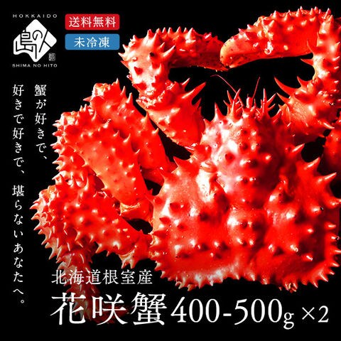 【水揚げ次第お届け】【獲れたて未冷凍】根室産 チルド花咲ガニ(姿) 400-500g前後【2尾セット】【送料無料】【2025年新物】 [cd*]A71-19830-11121