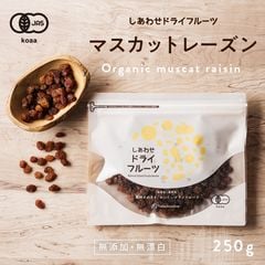 dショッピング | 【送料無料】 | 『ドライフルーツ』で絞り込んだ