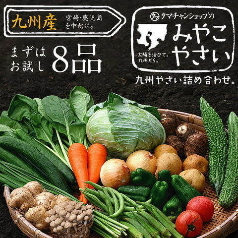 九州野菜8品セット
卵6個プレゼント