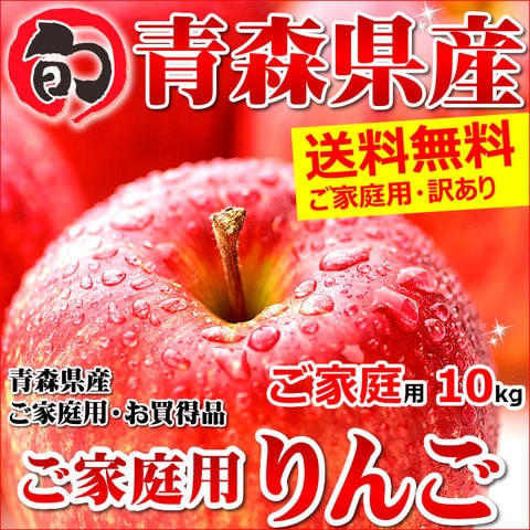【出荷中】青森県産 りんご サンふじ 10kg (ご家庭用/22～46玉/生食可)