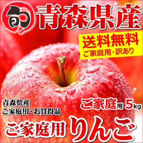 【出荷中】青森県産 りんご サンふじ 5kg (ご家庭用/13～22玉/生食可)
