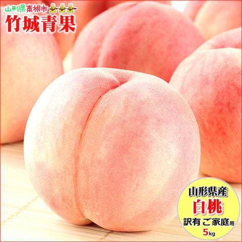 【7月下旬から順次出荷予定】山形県産 ご家庭用 もも 白桃 5kg(無袋栽培/玉数おまかせ/トレー仕様)※日時指定はメールで※