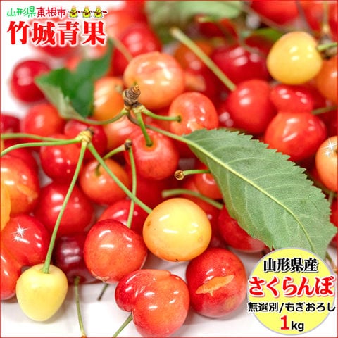 【6月上旬から順次出荷予定】山形県産 ご家庭用 もぎおろし さくらんぼ(露地/サイズ混合/1kg/ばら詰め)