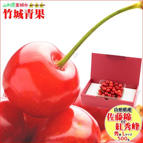 【順次出荷中】山形県産 さくらんぼ 佐藤錦or紅秀峰 500g(露地/秀品/Lサイズ/ばら詰め)