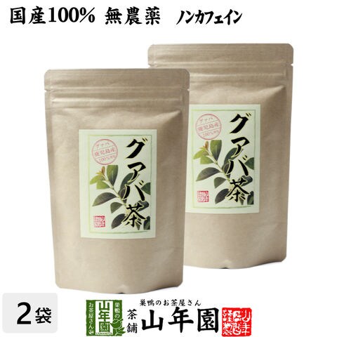 大放出セール】 無農薬ピンクグァバ - 食品