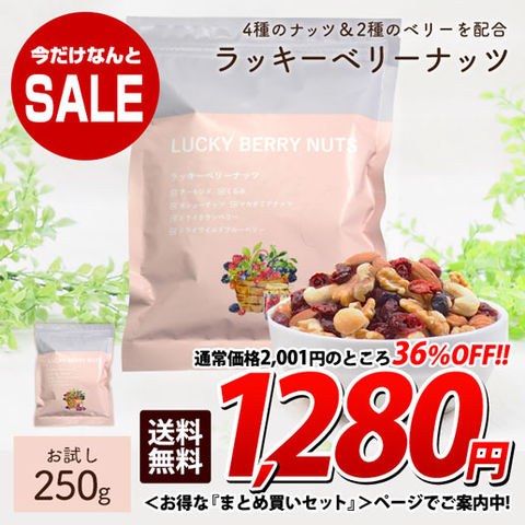 ★2/15までセール★【お試し250g】ラッキーベリーナッツ送料無料 無塩 ナッツ ロカボ クランベリー ワイルドブルーベリー トレイルミックス 訳あり(簡易梱包) 美活 2sv