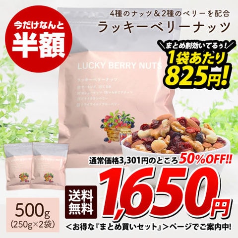 ★1/15迄セール★【500g(250g×2)】ラッキーベリーナッツ 送料無料 無塩 ナッツ ロカボ クランベリー ワイルドブルーベリー 訳あり(簡易梱包) 美活 1ss