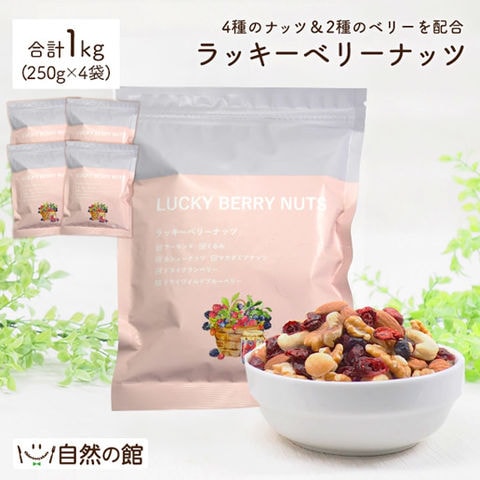 【1kg(250g×4)】 ラッキーベリーナッツ 送料無料 無塩トレイルミックス 自然の館 訳あり(簡易梱包) 美活