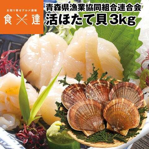 活ホタテ貝 6kg【青森県産】特大サイズ 約24枚～30枚 成貝 3年貝 - 魚介類