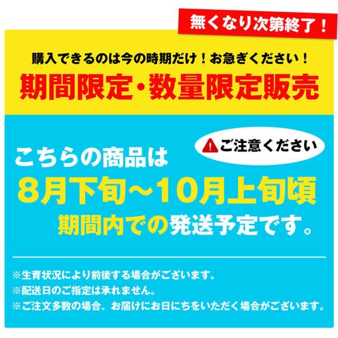 dショッピング |シャインマスカット 山梨県産 2房 合計1kg以上 高級 大