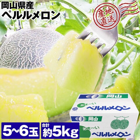 dショッピング |メロン ペルルメロン 肥後グリーン と同品種 5～6玉 合計約5kg 優品以上 青肉 ネット 産地直送 岡山県産 産直  常温便【6月中旬～下旬頃・期間内発送予定】 | カテゴリ：果物の販売できる商品 | 食の達人森源商店 (061fjwr-011)|ドコモの通販サイト