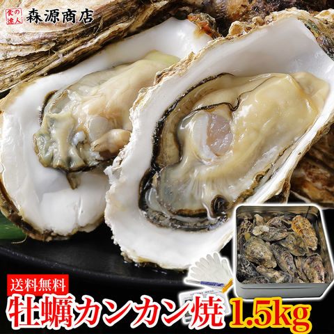 牡蠣のカンカン焼き Sサイズ 殻付きマガキ1.5kg 送料無料 お取り寄せグルメ 食品 ギフト 海鮮 BBQ