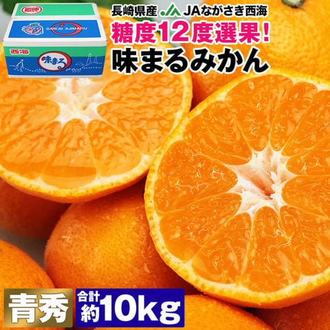 味まるみかん 糖度12度 10kg 長崎県産 青秀品 74～126玉程度 S/M/Lサイズ JAながさき西海 あじまる 送料無料  常温便 お取り寄せグルメ 食品 ギフト【予約受付中、11月中旬頃～出荷開始予定】