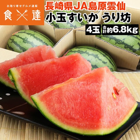 すいか 小玉スイカ うり坊 秀品 4玉 6.8kg (1玉1.7kg) 西瓜 長崎県産 フルーツ 果物 常温便