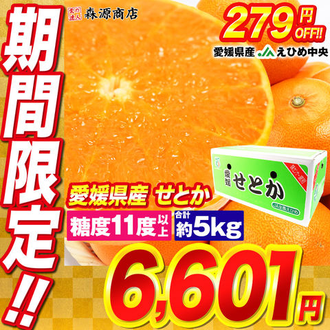せとかみかん 5kg 愛媛県産 高級フルーツ
