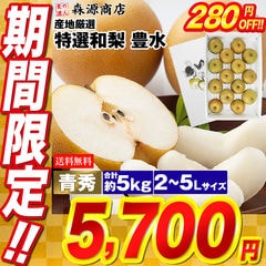 豊水 梨ギフト 5kg 10～16玉 2L～5Lサイズ