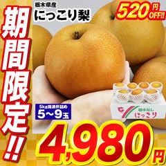 梨 にっこり 大玉 栃木県産 5〜9玉 5kg箱満杯詰め